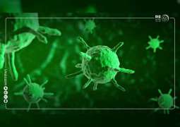 النمسا تعلن عن أول إصابتين بفيروس كورونا