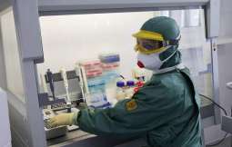 Russia Registers Domestic Test System to Identify Coronavirus Cases - Authorities