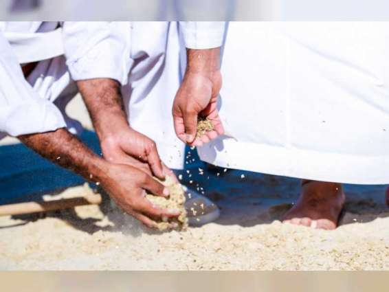 Environment Agency - Abu Dhabi to scatter seeds of native wild plants across emirate