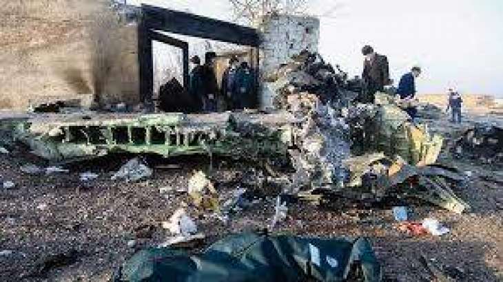 Iran's Aviation Authority Accuses Kiev of Breaking Rules for Boeing Crash Investigation