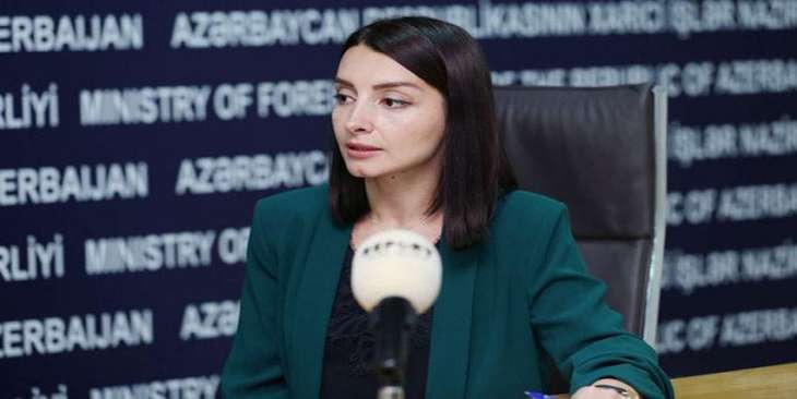 Azerbaijan supports peaceful resolution of Kashmir issue