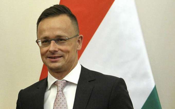 Top Hungarian Diplomat Says Language Row Still Hurting Ties With Ukraine