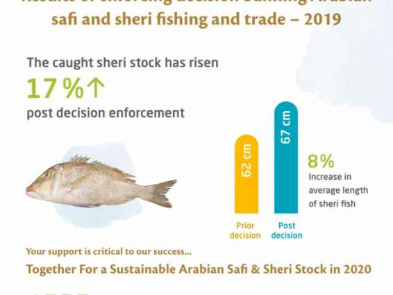 ارتفاع كميات أسماك الصافي والشعري بعد تطبيق قرار تنظيم صيدها