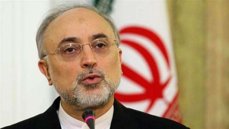 Iran Prepared to Launch Arak Reactor If Modernization Does Not Speed Up - Vice President