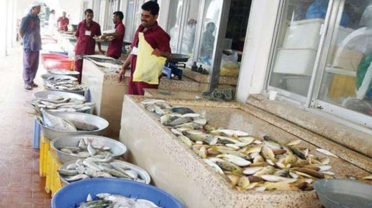 Increase in safi, sheri stocks following fishing regulation enforcement
