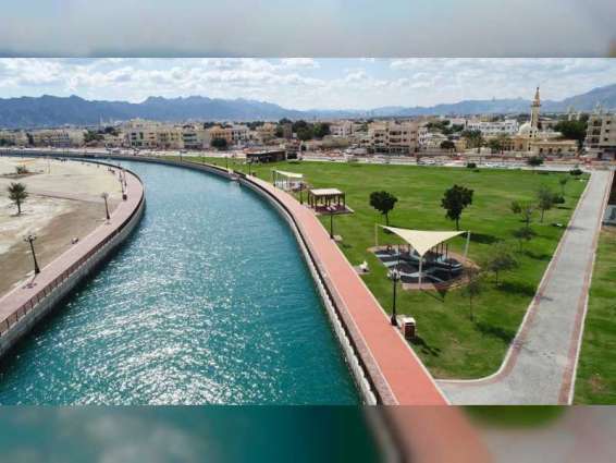 تقرير / بلدية دبا الحصن .. قفزة نوعية في المساحات الخضراء خلال 2019