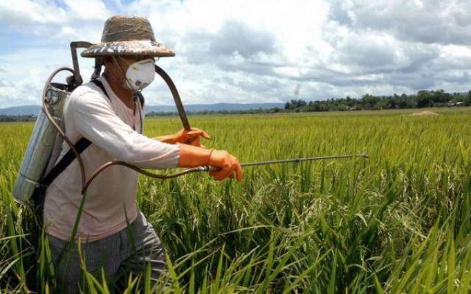 Brazil Becomes World's Leading Market for Highly Hazardous Pesticides - NGO
