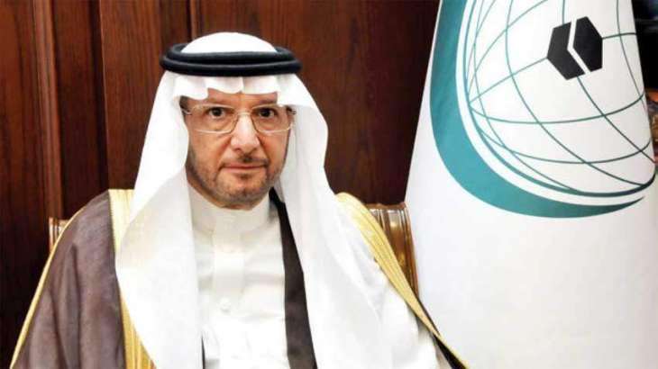 OIC Adopts a Contemporary Declaration on Human Rights - Al-Othaimeen