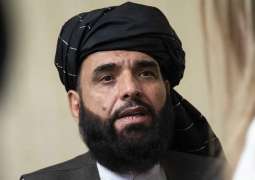 Taliban Refutes US Intelligence Information Claiming Movement Will Not Fulfill Peace Deal