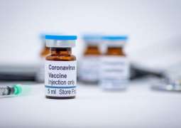 COVID-19 Vaccine to Appear No Earlier Than 2021 - German Research Institute