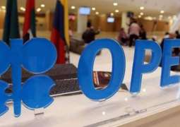 OPEC Downgrades Forecast for 2020 Non-OPEC Oil Supply Growth to 1.76 Mln Bpd - Report