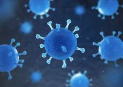 الصحة المصرية : شفاء 12 حالة من فيروس كورونا المستجد