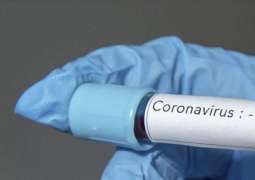 Iraq's Coronavirus Count Climbs to 154 With 21 Cases Announced - Health Ministry