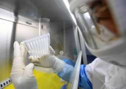 Spain Scrambles to Develop COVID-19 Express Tests, Vaccine - Authorities