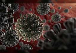 First coronavirus death in Montenegro