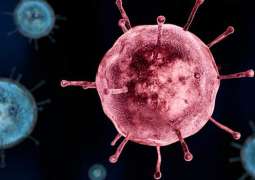 The Coronavirus: A Vast Scared Majority Around The World