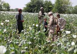 People in Eastern Afghan Region Unite Against Drug Trafficking, Target Dealers With Fines