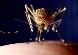 French Island Mayotte Records Over 2,400 Dengue Cases