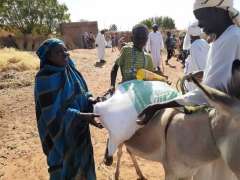 مركز الملك سلمان للإغاثة يوزع 900 سلة غذائية في جمهورية السودان