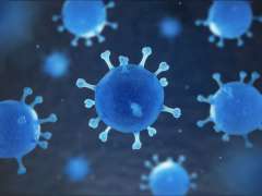 الصحة المصرية : شفاء 12 حالة من فيروس كورونا المستجد