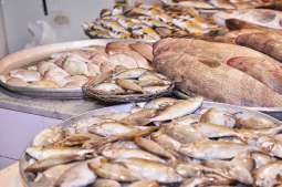 السوق المركزي للأسماك بالقطيف يشهد وفرة في المعروض واستقرارًا في الأسعار