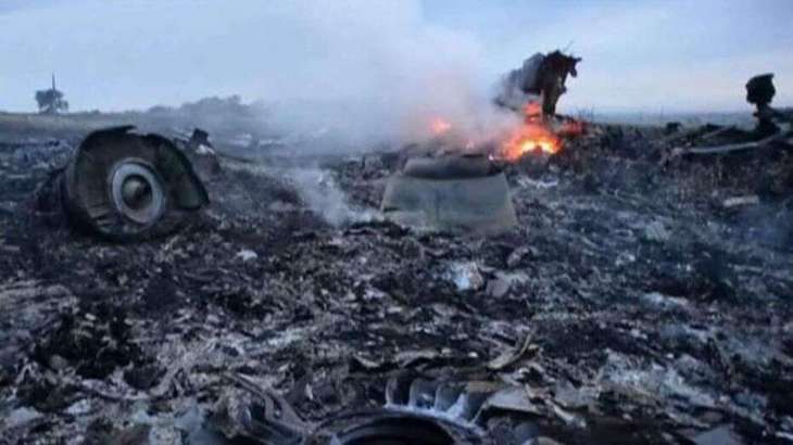 New Witnesses May Appear During MH17 Crash Judicial Proceedings - Dutch Prosecutor