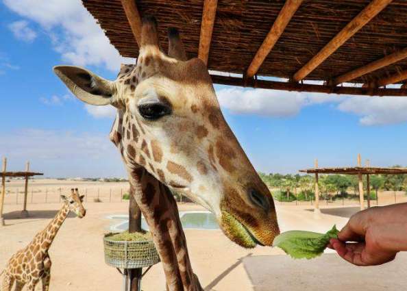 Al Ain Zoo to close temporarily from 15 March 2020