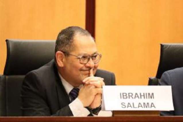 COVID-19: UN Human Rights Treaty Bodies postpone meetings until June: Ibrahim Salama