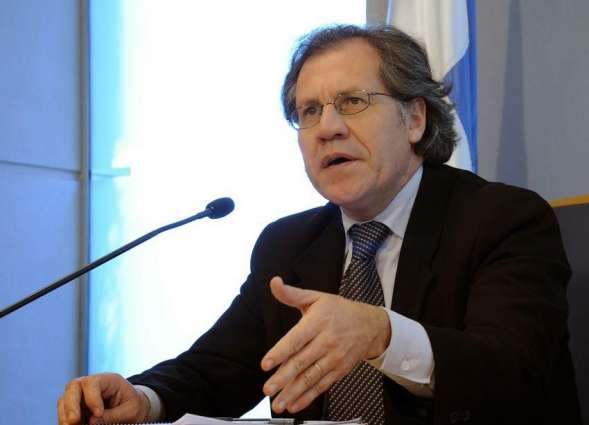 OAS Chief Wins Reelection, Vows to Support Member States Amid Virus Crisis