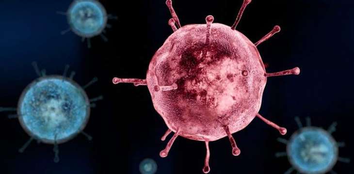 The Coronavirus: A Vast Scared Majority Around The World