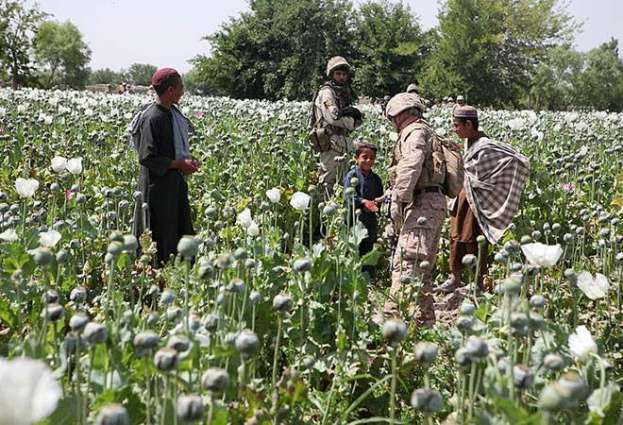 People in Eastern Afghan Region Unite Against Drug Trafficking, Target Dealers With Fines