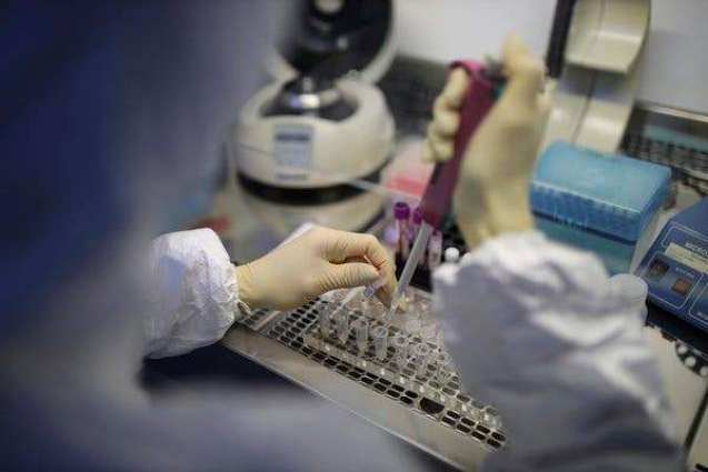 Russian Investigative Committee to Detect Online Fakes on Coronavirus Situation - Official