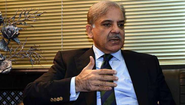 Shehbaz Sharif expresses concerns over depreciation of local currency against US dollar