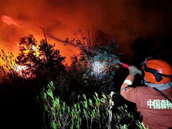 19 dead in southwest China forest fire