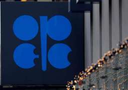 Saudi Arabia, US to Suffer Most From OPEC+ Oil Production Cuts - London Energy Club
