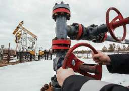 EAEU Agenda Includes Lukashenko's Proposal on Flexible Gas Price - Kremlin
