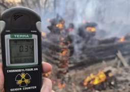 Kiev Mayor Says Radiation Level in Capital Normal Despite Chernobyl Fires