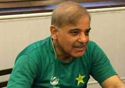 Shehbaz Sharif will not appear before NAB today