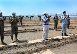 “Pakistan Navy Launches Mangroves Plantation Campaign 2020 For Greener Pakistan”