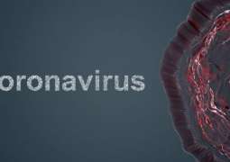 'Dummy patients of Coronavirus’