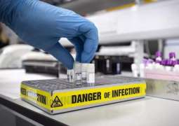 Japan Checks Performance of Testing Kits for Coronavirus Antibodies - Reports
