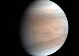 Russian Scientists Experimentally Prove Possibility of Microbial Life on Venus, Mars