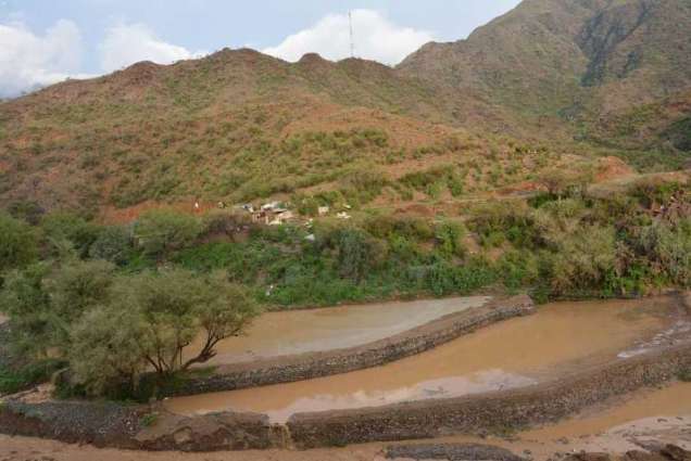 أمطار على محافظة رجال ألمع