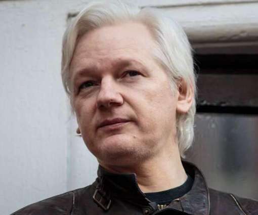 Rights Group Welcomes Decision to Postpone Assange's Extradition Hearings