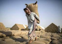 Int’l Labour Day being observed today to promote dignity of labourers