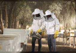 "أبوظبي للزراعة والسلامة الغذائية".. جهود مستمرة لاستدامة إنتاج العسل المحلي