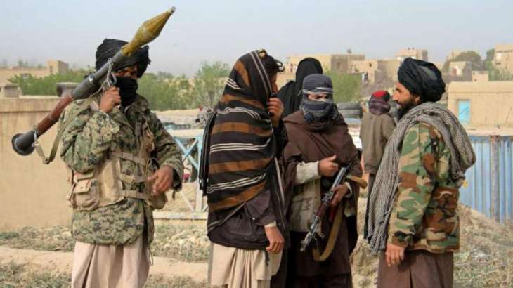 Two Taliban Commanders Killed in Afghanistan's Southern Helmand Province - Army