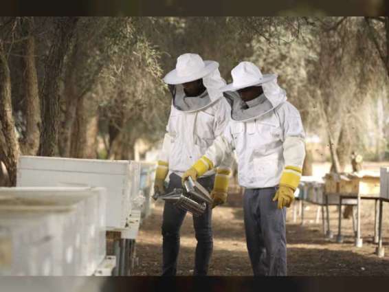 "أبوظبي للزراعة والسلامة الغذائية".. جهود مستمرة لاستدامة إنتاج العسل المحلي