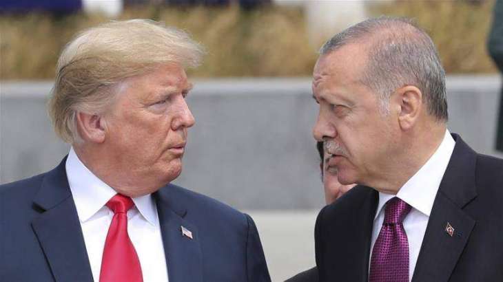 Erdogan Discusses Situation in Syria, Libya With Trump - Ankara
