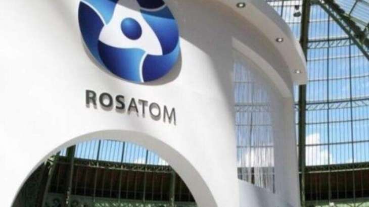 Rosatom Expects Increase in External Political Risks for Projects Abroad - Report